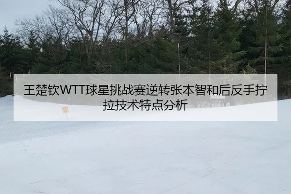 王楚钦WTT球星挑战赛逆转张本智和后反手拧拉技术特点分析