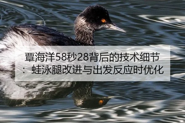 tan-hai-yang-miao-bei-hou-de-ji-shu-xi-jie-wa-yong-tui-gai-jin-yu-chu-fa-fan-ying-shi-you-hua-2-497.jpg